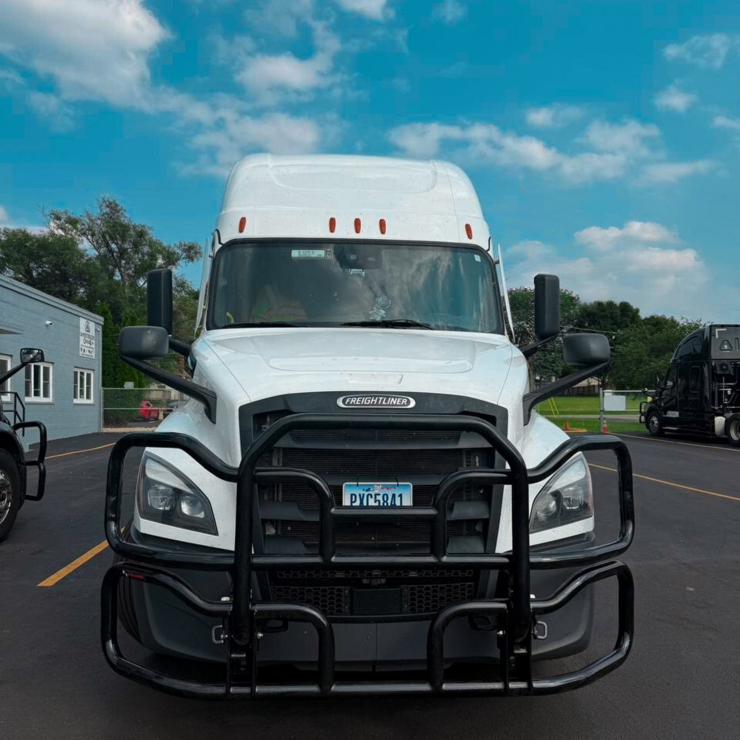 Heavy Duty Deerguard